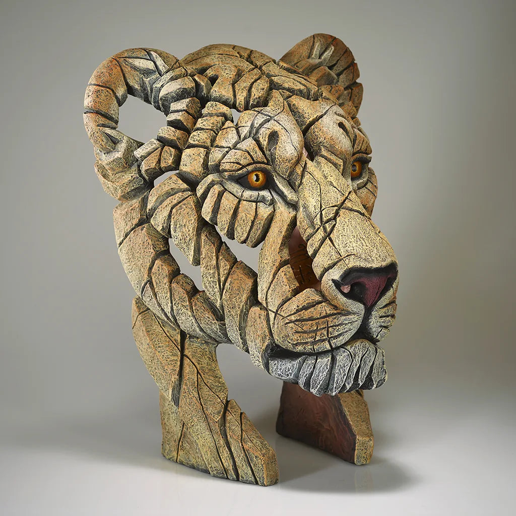 Edge Sculpture Yuna The Lioness by Matt Buckley