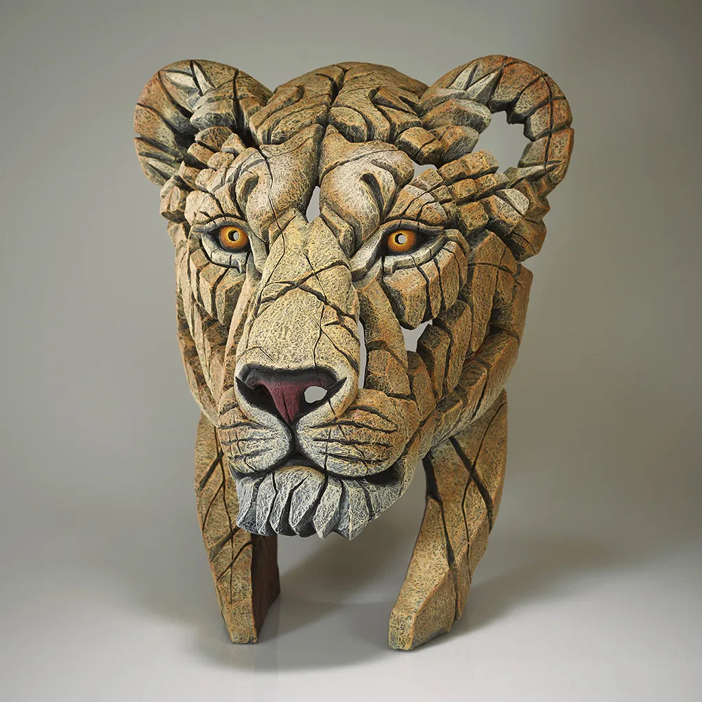 Edge Sculpture Yuna The Lioness by Matt Buckley