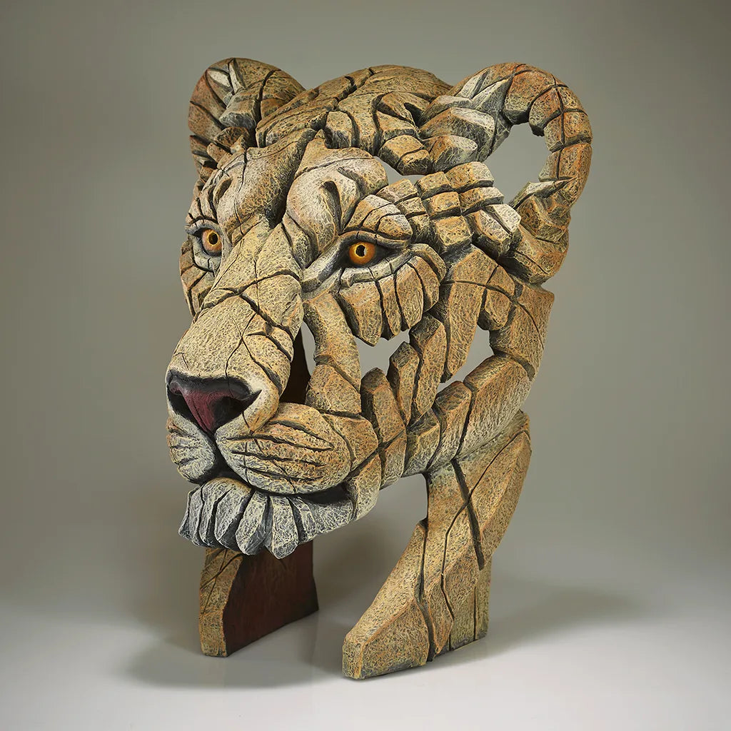 Edge Sculpture Yuna The Lioness by Matt Buckley