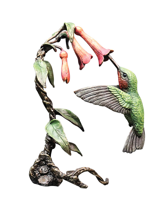 Hummingbird In Presentation Box by Keith Sherwin