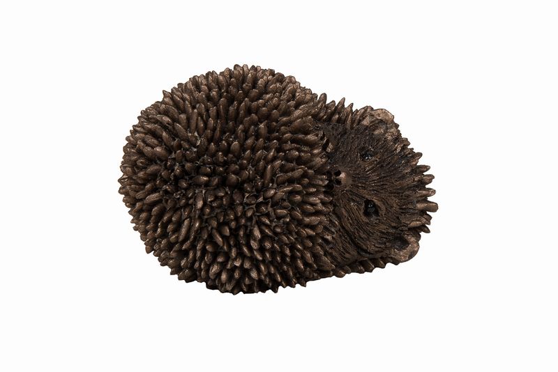 Dizzy hoglet asleep Bronze Figurine by Thomas Meadows (Frith Sculpture)