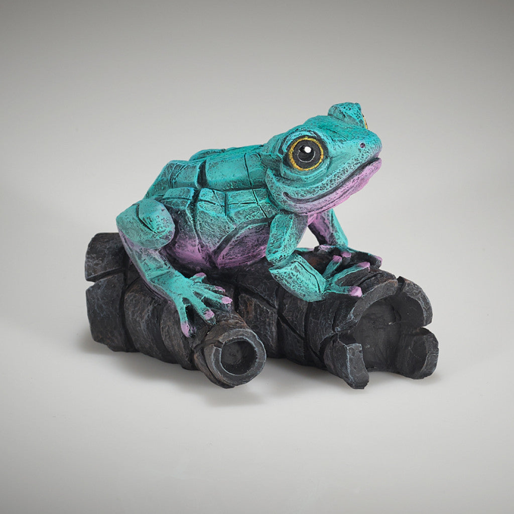Edge Sculpture African Tree Frog Aqua Pink by Matt Buckley
