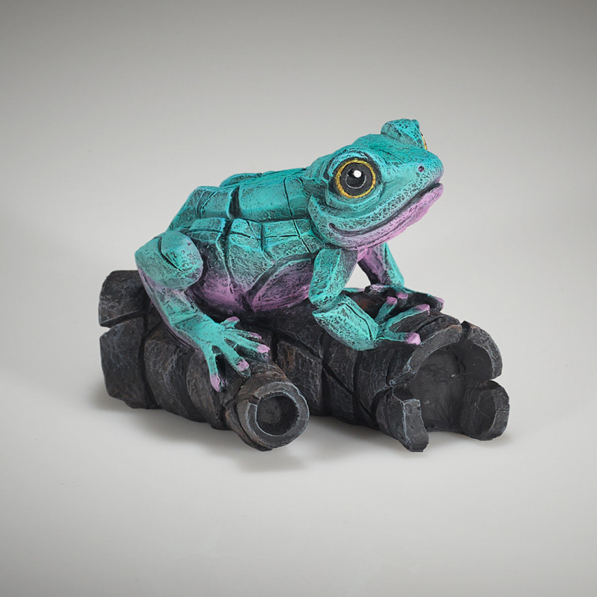 Edge Sculpture African Tree Frog Aqua Pink by Matt Buckley