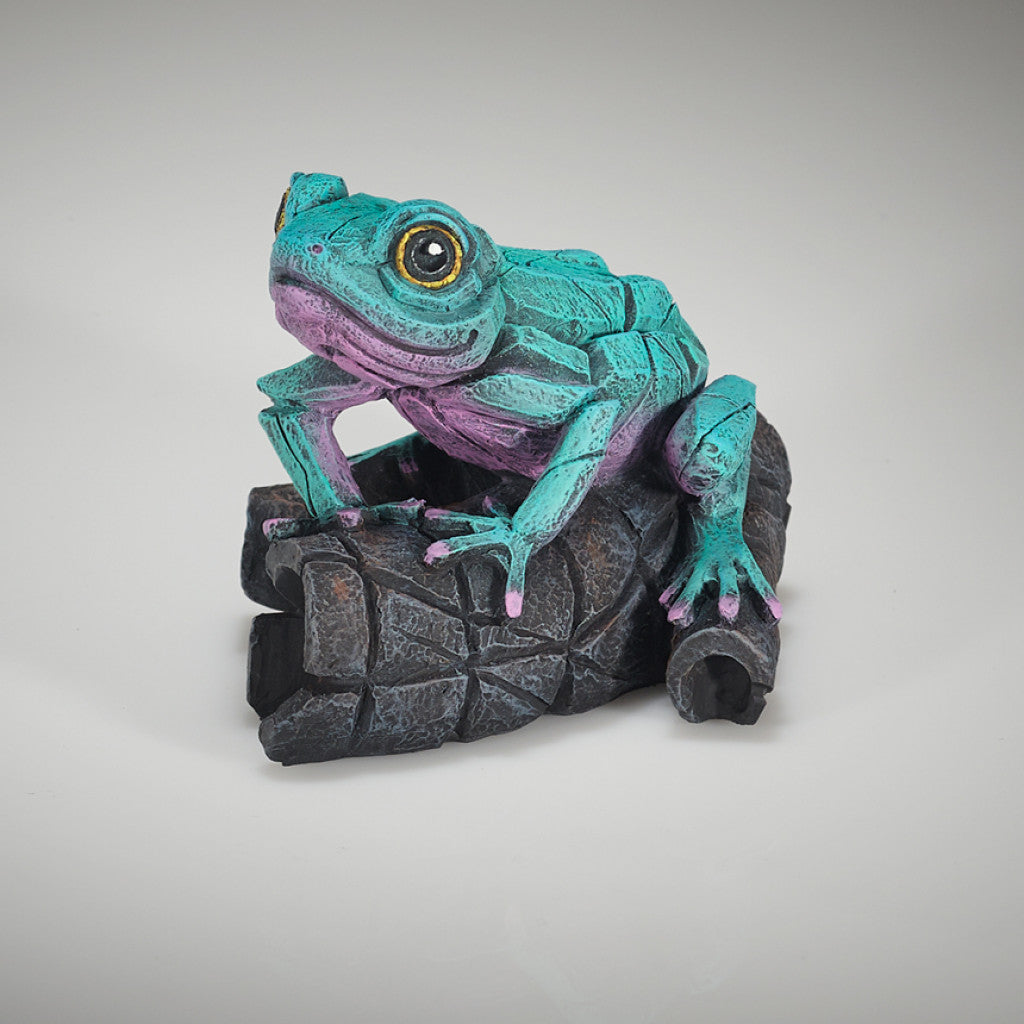 Edge Sculpture African Tree Frog Aqua Pink by Matt Buckley