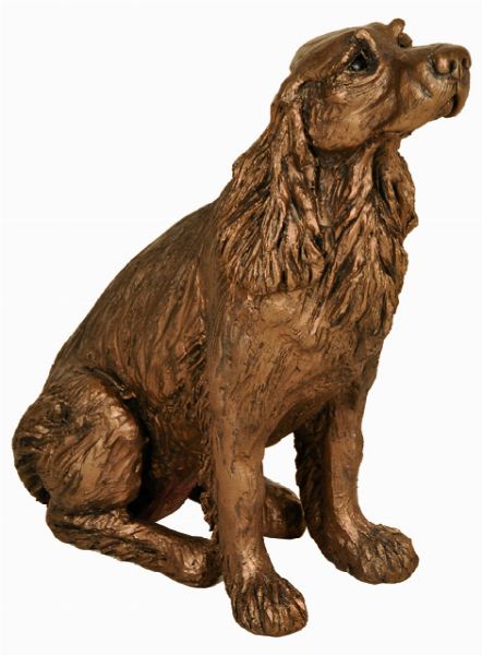 Winston Spring Spaniel.by Harriet Dunn