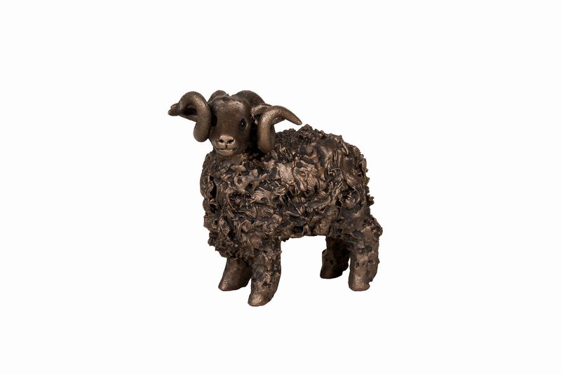 Swaledale Ram.by Veronica Ballan