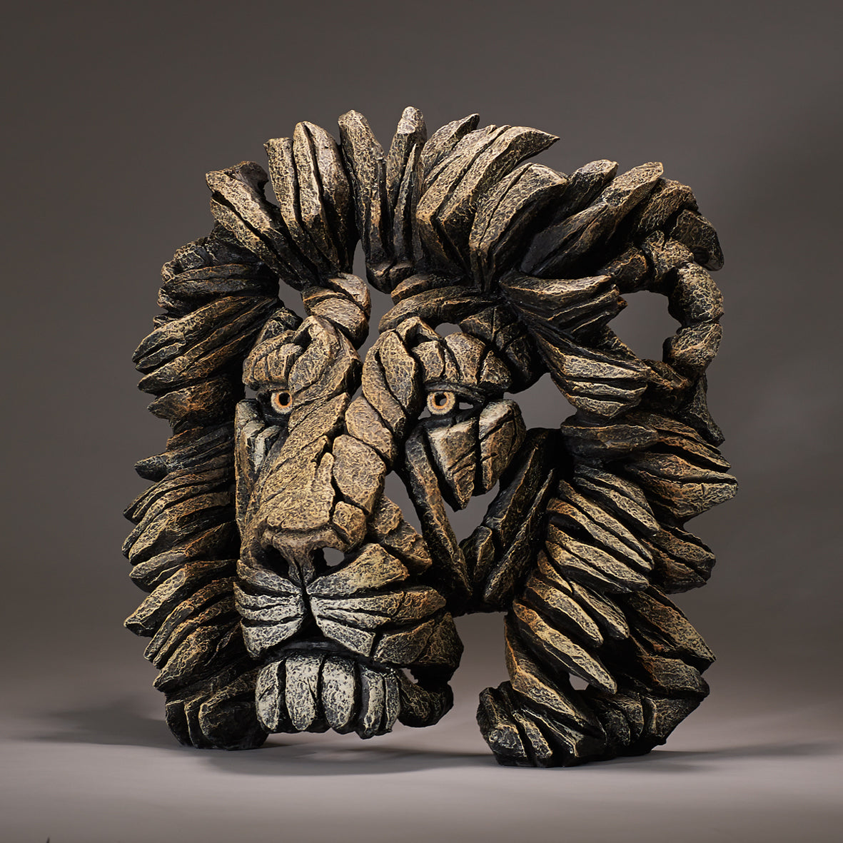Edge Sculpture Lion Bust Savannah by Matt Buckley