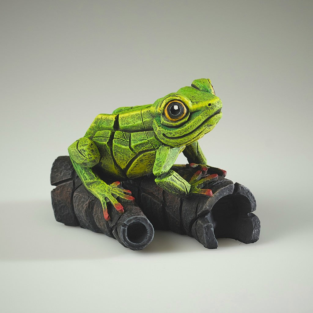 Edge Sculpture African Tree Frog Green by Matt Buckley