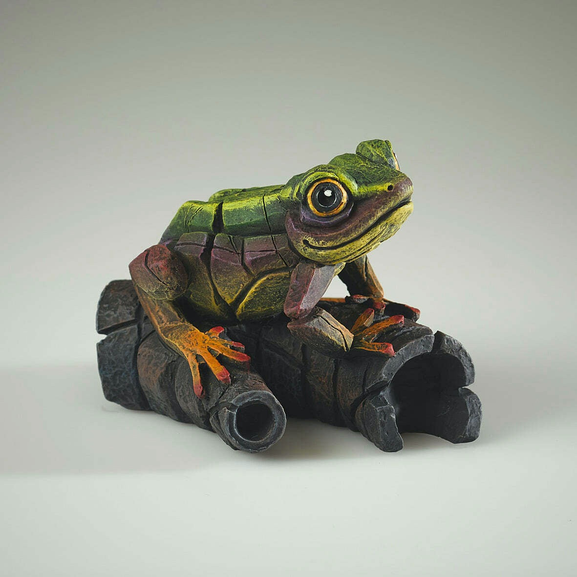 Edge Sculpture African Tree Frog Rainbow Green by Matt Buckley