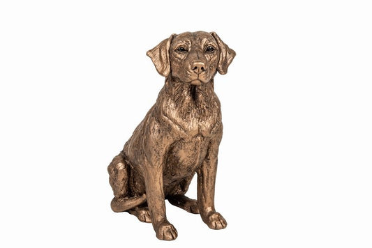 Honey Labrador Bronze Dog Figurine by Harriet Dunn (Frith Sculpture)