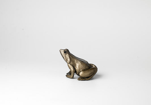Frog Bronze Figurine by Jonny Sanders (Frith Sculpture)