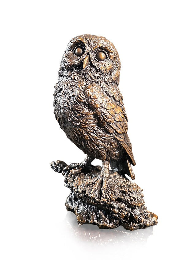 Little Owl  Bronze Sculpture by Keith Sherwin