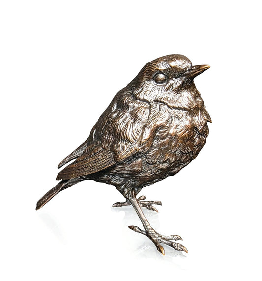 Robin Bronze Sculpture by Dean Kendrick