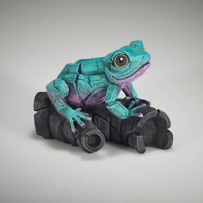 Edge Sculpture African Tree Frog (Aqua Pink) by Matt Buckley