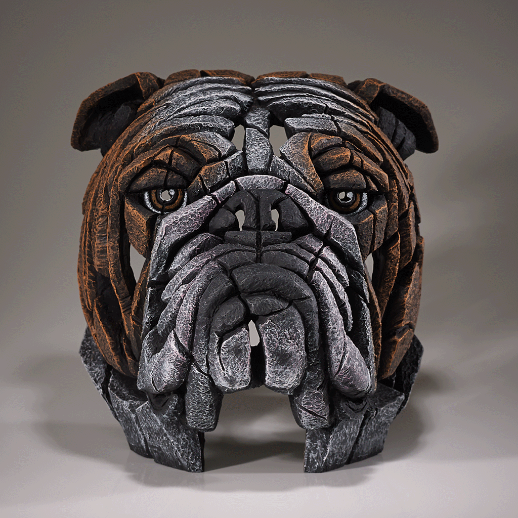 Edge Sculpture Bulldog Bust - Fawn by Matt Buckley