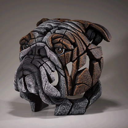 Edge Sculpture Bulldog Bust - Fawn by Matt Buckley