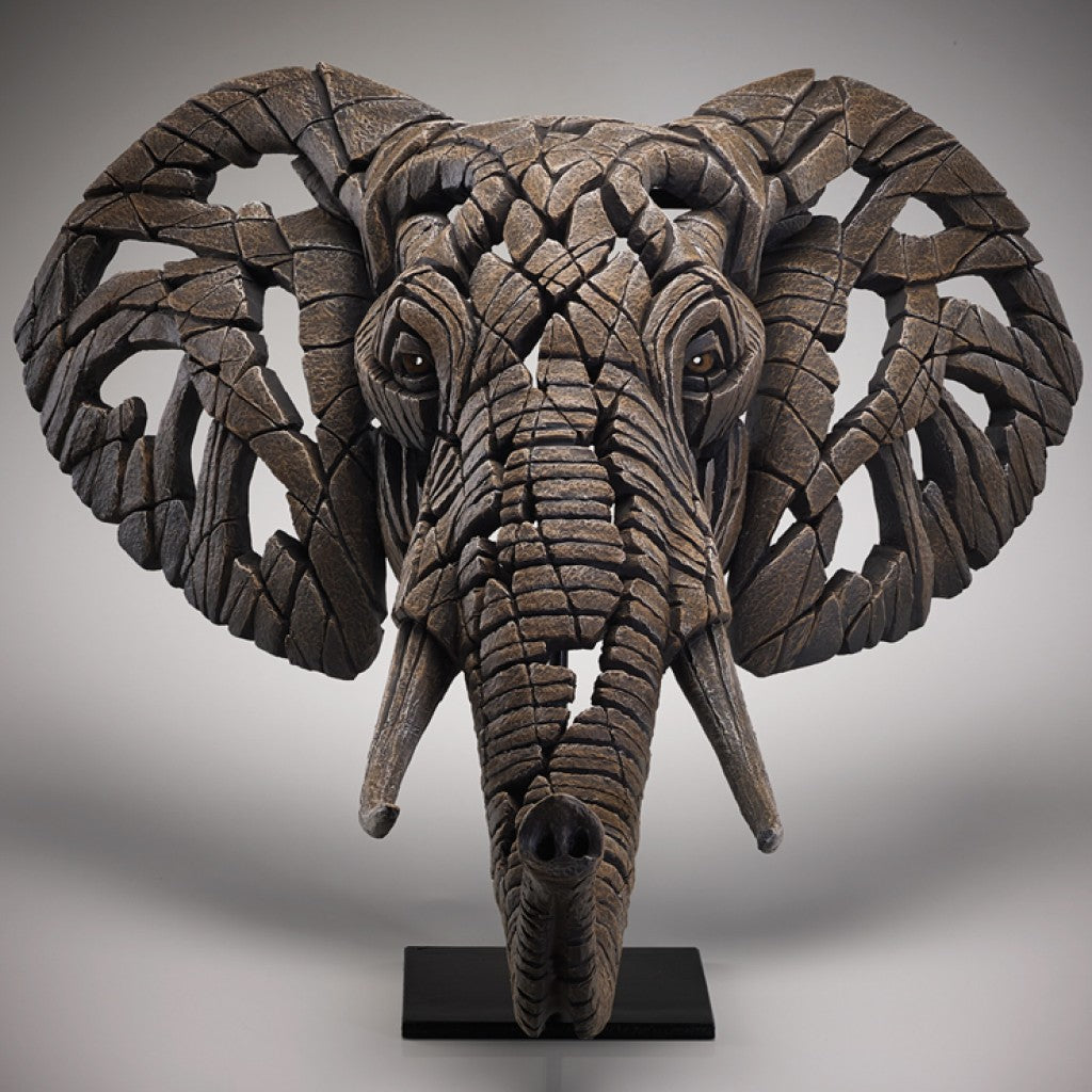 Edge Sculpture African Elephant Bust by Matt Buckley