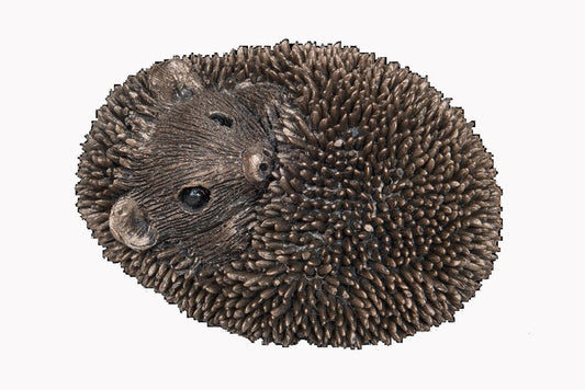 Zippo Baby Hedgehog Asleep Bronze Figurine by Thomas Meadows (Frith Sculpture)