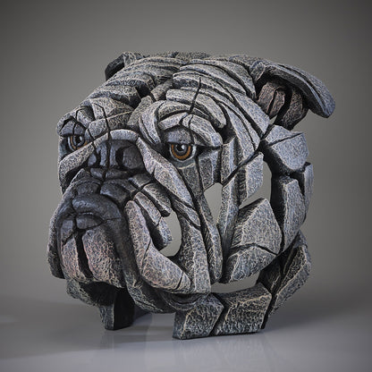 Edge Sculpture Bulldog Bust - White by Matt Buckley