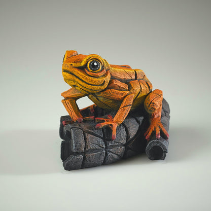 Edge Sculpture African Tree Frog Orange by Matt Buckley