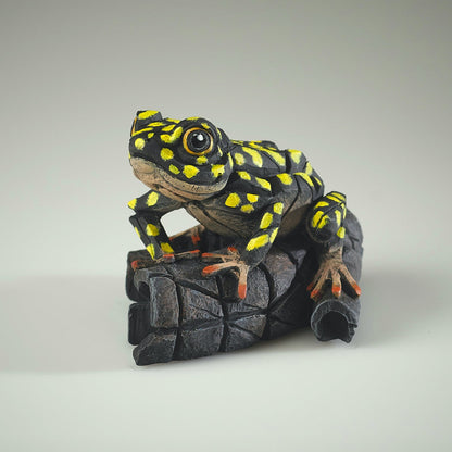 Edge Sculpture African Tree Frog (Yellow Spot) by Matt Buckley